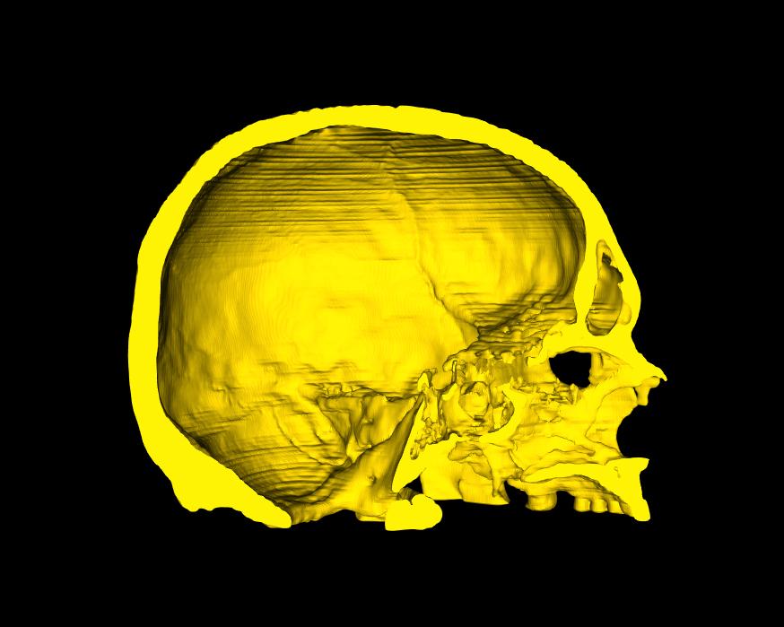 Digital 3D Anatomical Model