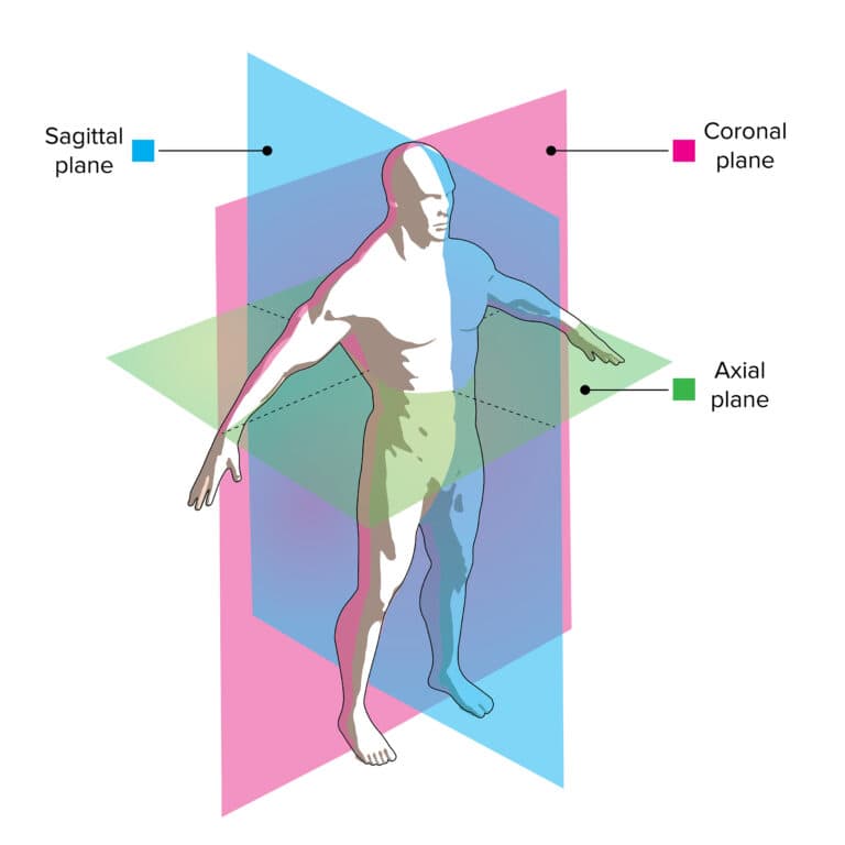 Axial, Sagittal & Coronal Planes on the Human Body
